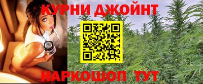 крисы Бузулук