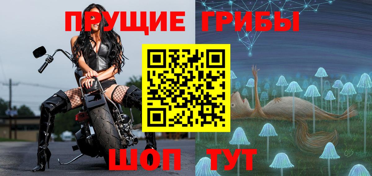 Псилоцибиновые грибы Cubensis Свободный