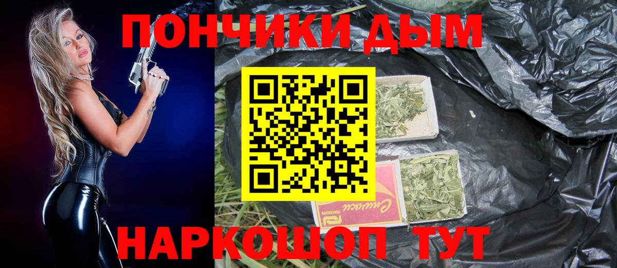Свободный  Бошки марихуана гибрид  Бошки Шишки Bruce Banner  Шишки марихуана план  Бошки Шишки семена  Вход с VPN 